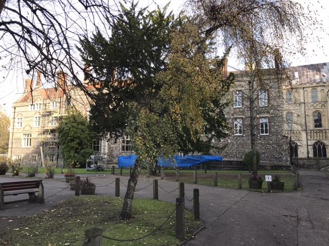 Historic flint and stone buildings around a green space in Norwich
