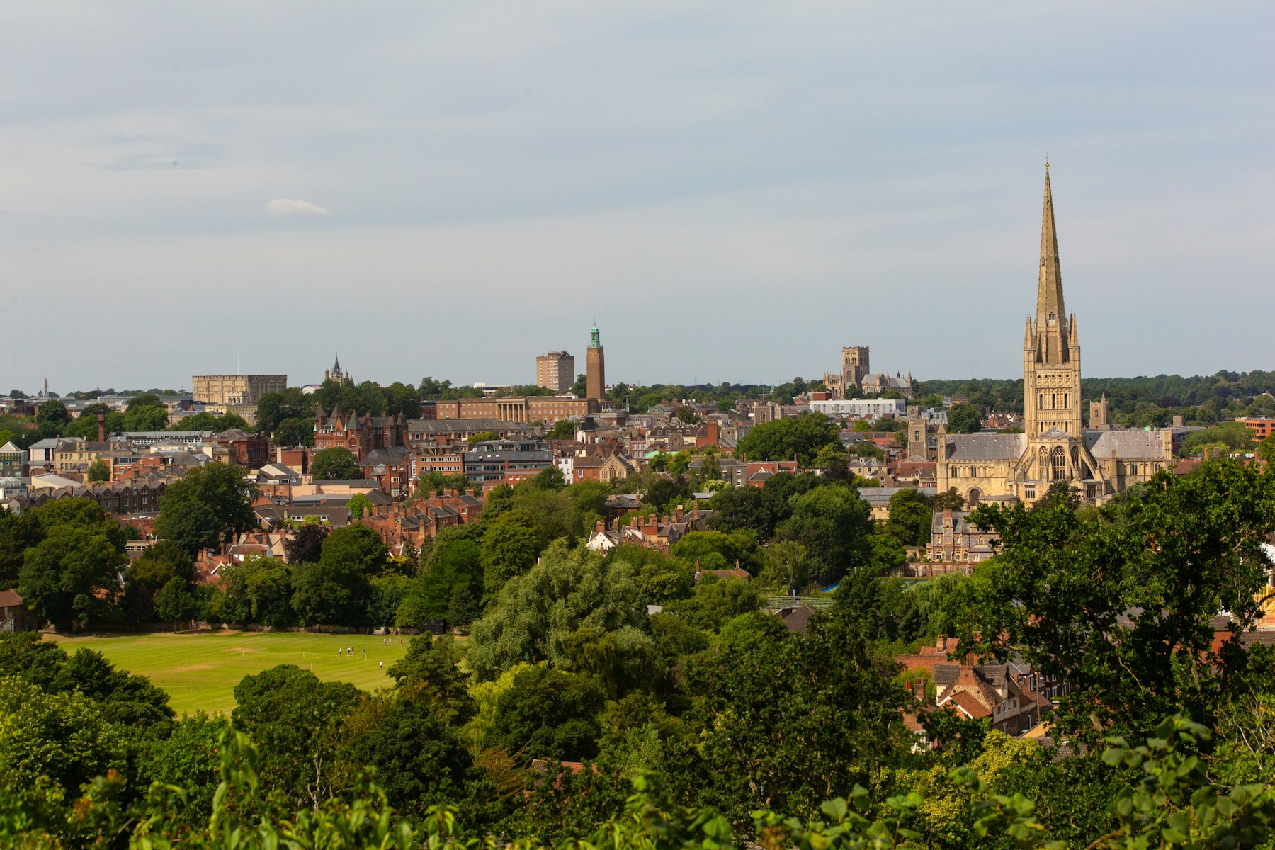 Norwich skyline and cathedral across green open space
